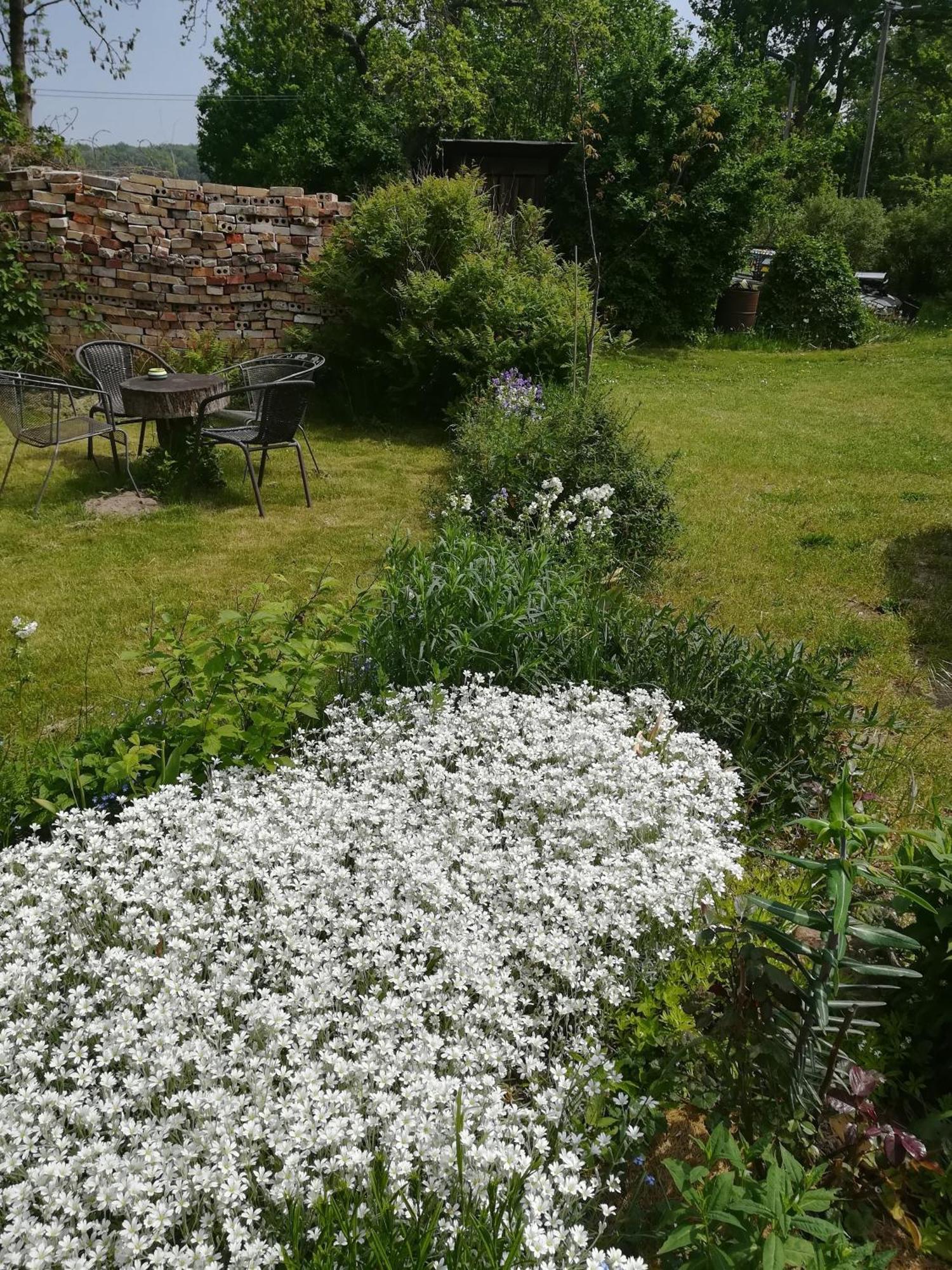 Ferien In Der Scheune Dettmannsdorf Bagian luar foto